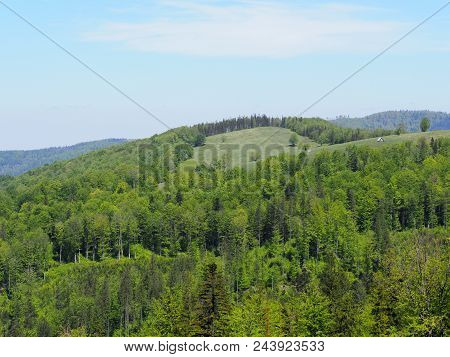 Brilliant Salmopol Pass Near Kotarz Mount In Silesian Beskids Mountains Range Landscapes Near Europe