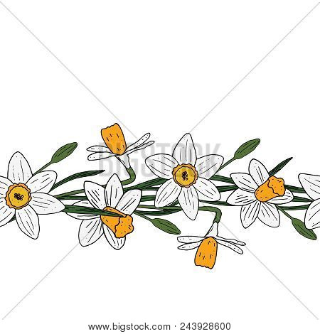Narcissus Seamless Pattern Brush. Floral Border. Vector Flower Line Border.