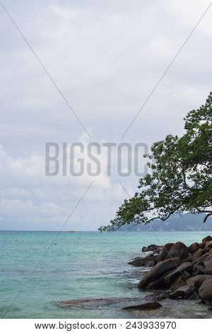 Beautiful Sea With The Tree And Rocks
