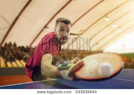 The Table Tennis Player In Motion. Fit Young Sports Man Tennis-player In Play On Sport Arena Backgro