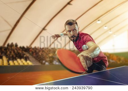 The Table Tennis Player In Motion. Fit Young Sports Man Tennis-player In Play On Sport Arena Backgro