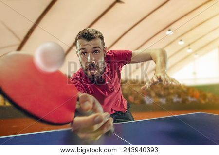The Table Tennis Player In Motion. Fit Young Sports Man Tennis-player In Play On Sport Arena Backgro
