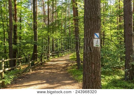 Hiking Trail Path  In Green Forest. Located I, Roztochia Region, Poland