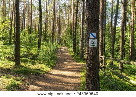 Hiking Trail Path  In Green Forest. Located I, Roztochia Region, Poland