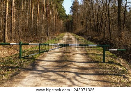 Hiking Trail Path  In Green Forest. Located I, Roztochia Region, Poland