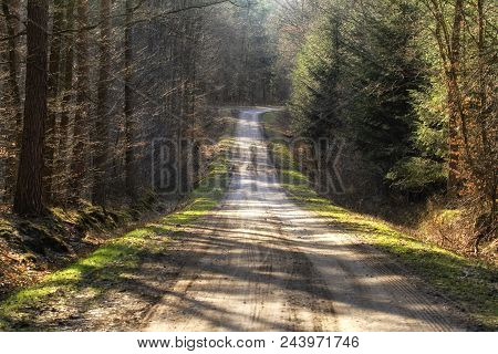 Hiking Trail Path  In Green Forest. Located I, Roztochia Region, Poland