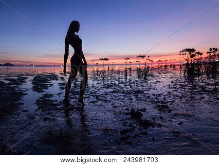 Beautiful Sexy Woman Silhouette Posing On The Beach Near Sea. Romantic Walk At Sunset. Sun Reflected
