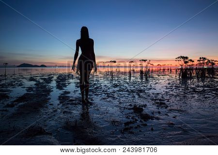 Beautiful Sexy Woman Silhouette Posing On The Beach Near Sea. Romantic Walk At Sunset. Sun Reflected