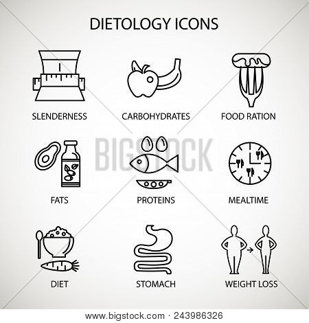 Vector Illustration Concept. Dietology Icon Set With Text. Flat Style Line Art.