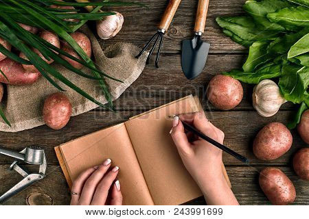 Notepad For Entries In Female Hands, Close-up. Top View On A Wooden Background With Garden Tools, Gr