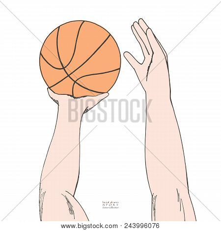 Male Hands Holding And Preparing To Throw Basketball Into A Hoop. Hand Drawn Colored Sketch. Isolate