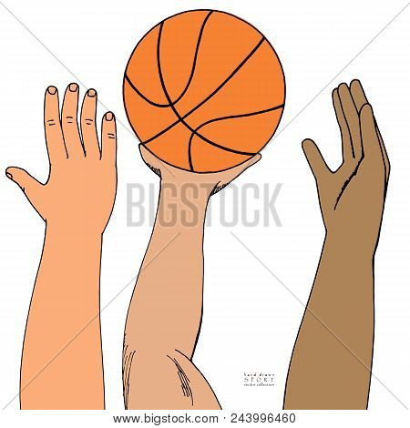 Male Hands Reaching For Basket Ball. Strugglng For Victory. Playing, Holding, Throwing. Hand Drawn C