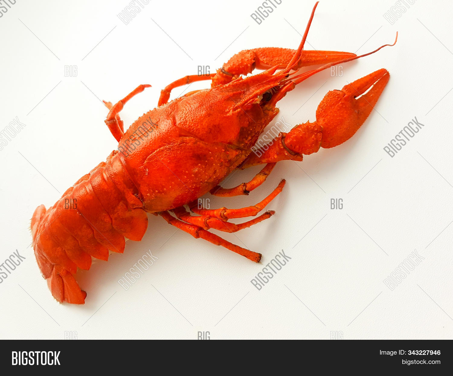 Boiled Crayfish Image Photo Free Trial Bigstock Boiled Crayfish Image Photo Free Trial Bigstock