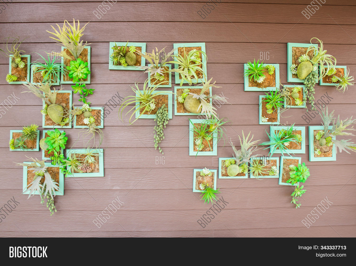 Interior Gardening Image Photo Free Trial Bigstock