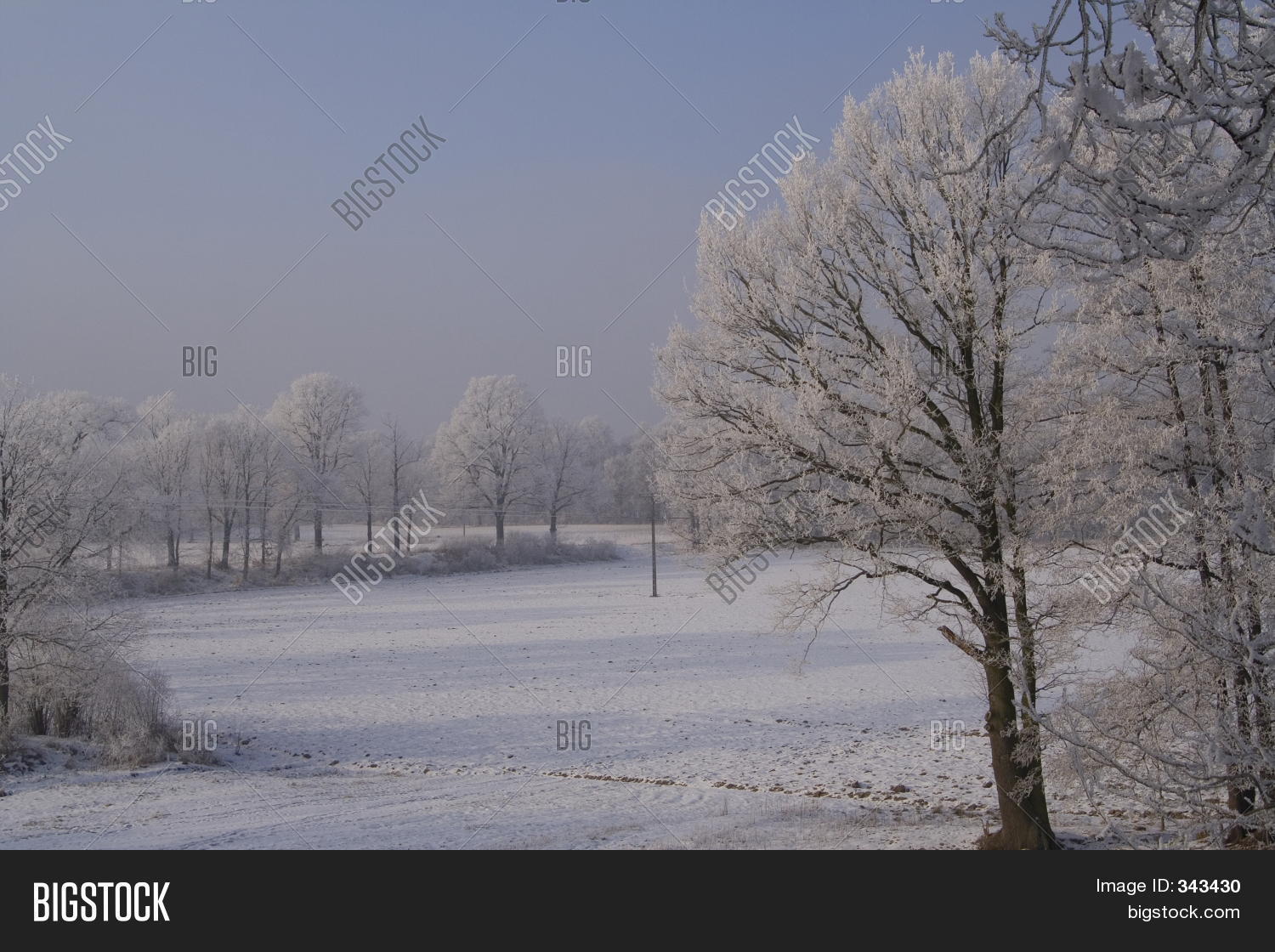 Image Preview
