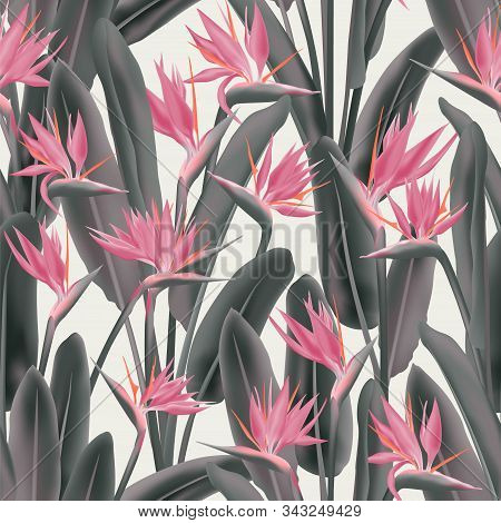 Strelitzia Reginae Tropical Flower Vector Seamless Pattern. Jungle Exotic Tropical Plant Fabric Desi
