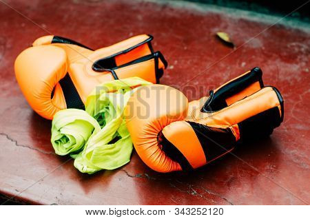 Orange Boxing Gloves On The Ring Floow