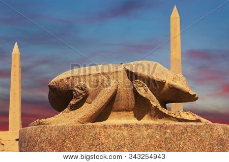 Foreground Of A Camel Dromedar Against The Backdrop Of The Great Pyramids, View Of The Sunset Sky In