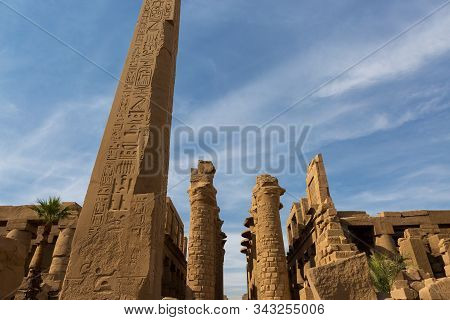 Foreground Of A Camel Dromedar Against The Backdrop Of The Great Pyramids, View Of The Sunset Sky In