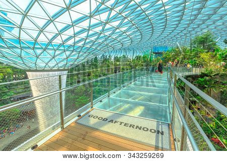 Singapore - Aug 8, 2019: Canopy Bridge In Canopy Park, Is A Suspension Bridge Close To Rain Vortex, 