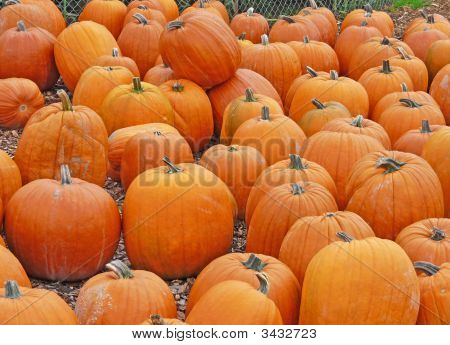 Pumpor