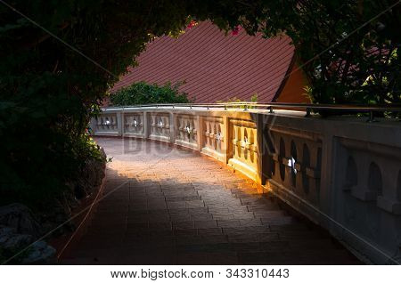Footpath Going Down Through The Hole In The Bushes