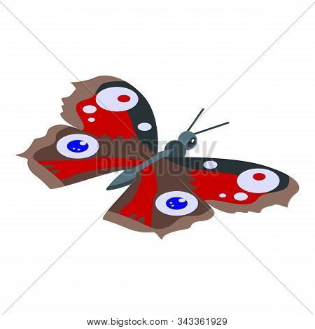 Red Eye Butterfly Icon. Isometric Of Red Eye Butterfly Vector Icon For Web Design Isolated On White 