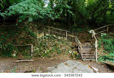 Path In The Forest