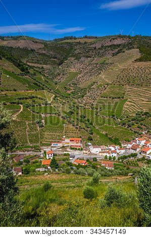 Vineyards In Douro Valley - Vila Real District, Portugal, Europe