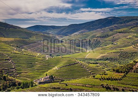 Vineyards In Douro Valley - Vila Real District, Portugal, Europe