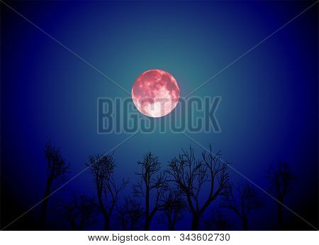 Illustration Of Landscape With Trees And Big Red Moon
