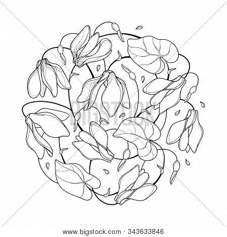 Vector Round Bouquet Of Outline Cyclamen Or Alpine Violet Bunch, Bud And Leaf In Black Isolated On W