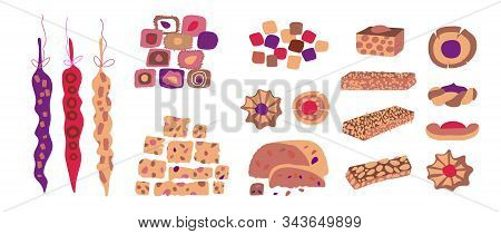 Vector Set Of Oriental Sweets And Arabic Tea Party. Desing For A Card Or Poster For A Holiday Invita