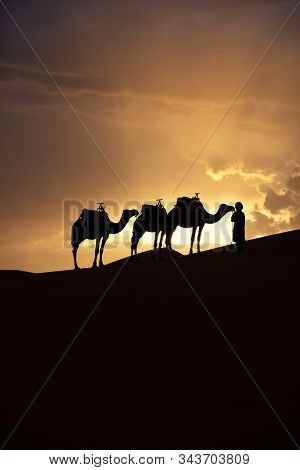 The Beauty Of The Sand Dunes In The Sahara Desert In Morocco. The Sahara Desert Is The Largest Hot D