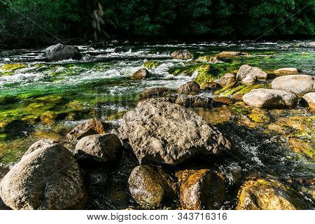 Transparent Water Of Rio Correntoso, The Shortest River In The World, Argentina.