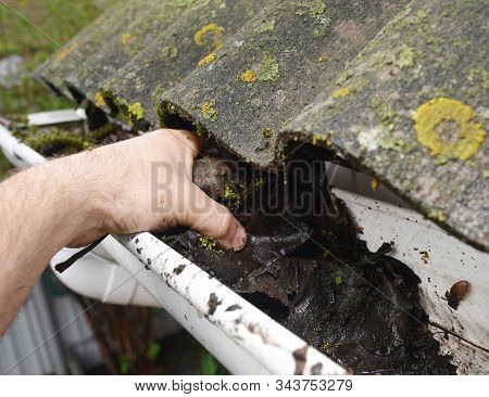 Roofer Cleaning Rain Gutter From Leaves. Roof Gutter Cleaning.gutter Cleaning.