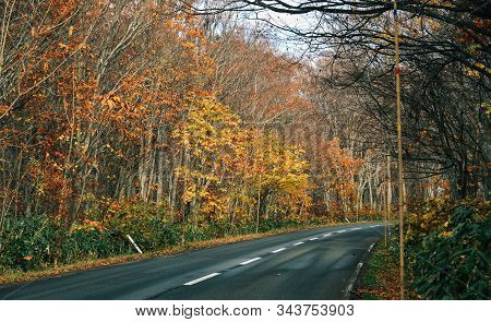 Autumn Scenery Of Aomori, Japan