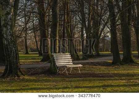 Stromovka Park In Budweis City In South Bohemia In Winter Sunny Evening
