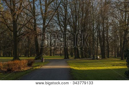 Stromovka Park In Budweis City In South Bohemia In Winter Sunny Evening