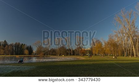 Stromovka Park In Budweis City In South Bohemia In Winter Sunny Evening