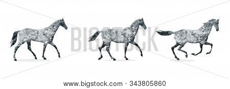 Horse Gait, Three Main Gray Horse Gait: Step, Lynx, Gallop.