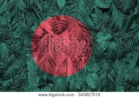 Bangladesh Flag Depicted On Many Leafs Of Monstera Palm Trees. Trendy Fashionable Backdrop