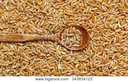 Pile Of Kamut Grain With A Spoon Top View