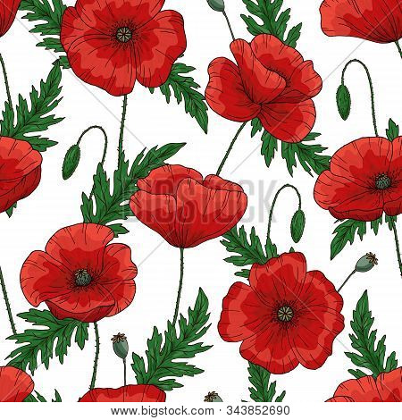 Saemless Pattern With Red Poppy Flowers. Papaver. Green Stems And Leaves. Hand Drawn Vector Illustra