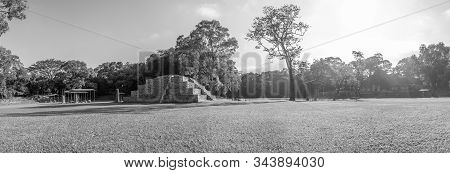 Panoramic In The Mayan Pyramids In The Temples Of Copan Ruinas. Honduras