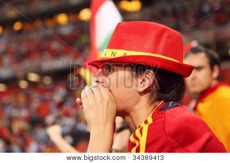 Spanish Fan On Stadium