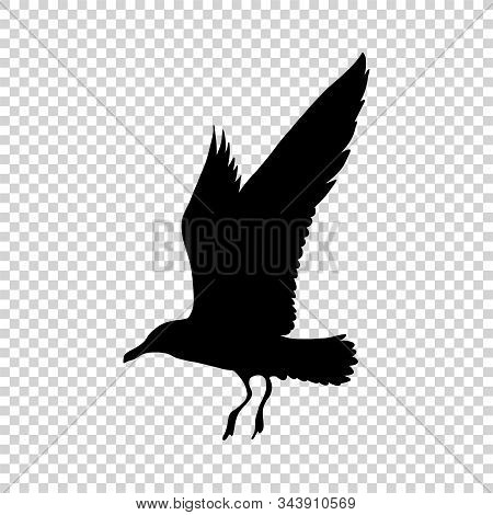 Detailed Bird Black Silhouette Isolated On Transparent Background. Bird Icon. Flat Style Bird Sign. 