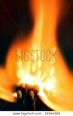 ไฟ matchbook