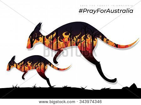 Pray For Australia.scared Kangaroo With A Baby Kangaroo Trying To Escape From The Burning Forest Fir