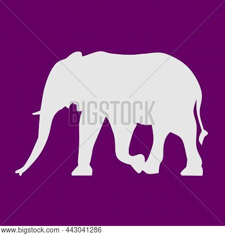 Elephant Animal Silhouette Fanua Vector Illustration Clipart
